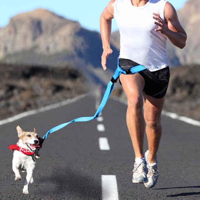 Adjustable Dog Hands Free Leash Waist Belt Buddy Jogging Walking Running Blue