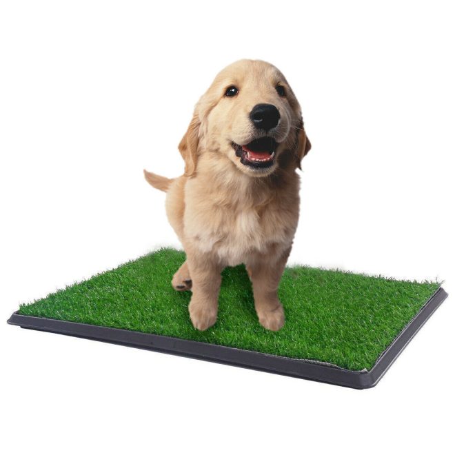 XL Indoor Dog Puppy Toilet Grass Training Mat Loo Pad Potty W Grass – With 2 Grass Mat