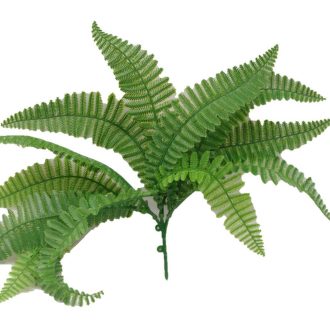 Fern Stem UV