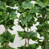 Ivy Garland Vines 260cm Each – 5 Per Pack