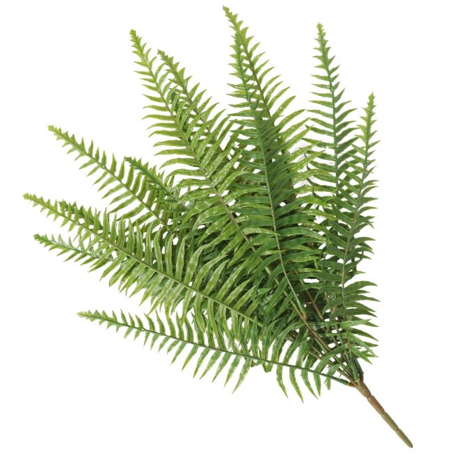 Artificial Fern (Lady Fern) 50cm UV Resistant