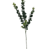 5 Pack – Long Eucalyptus Stem 77 cm