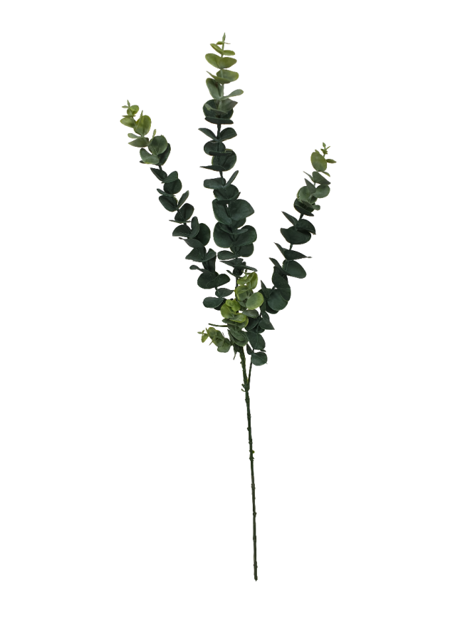 5 Pack – Long Eucalyptus Stem 77 cm