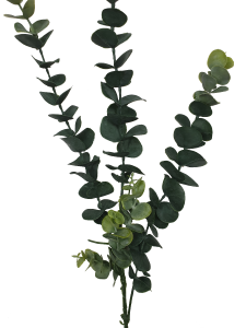 5 Pack – Long Eucalyptus Stem 77 cm