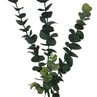 5 Pack – Long Eucalyptus Stem 77 cm