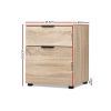 Filing Cabinet 2 Drawer Office Storage Organiser