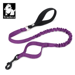 Military leash – Small, Purple