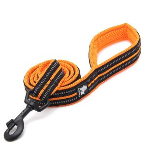 Reflective Pet Leash 2 meters – M, Orange