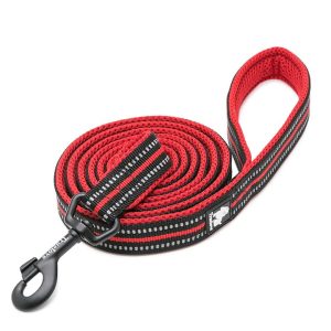 Reflective Pet Leash 2 meters – XS, Red