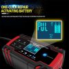 12V/24V Car Battery Charger Smart Trickle Repair Caravan Motorcycle Boat GEL/AGM