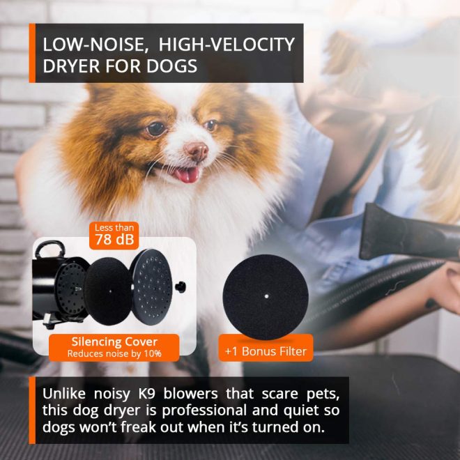 2800W Dog Dryer High Velocity Pet Dog Pet Blow Dryer Adjustable Speed 4 Nozzles – Pink