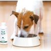 [6-PACK] Japan Breath Care Water For Dog Apple Scent 150ml