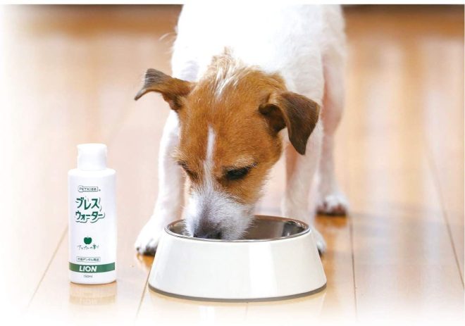 [6-PACK] Japan Breath Care Water For Dog Apple Scent 150ml