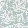 Cushion Cover-Coastal Fringe Natural-Coastal Coral Seafoam – 35×50 cm