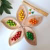 Leaf tray set of 5