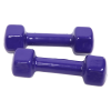 2kg Dumbbells Pair PVC Hand Weights Rubber Coated