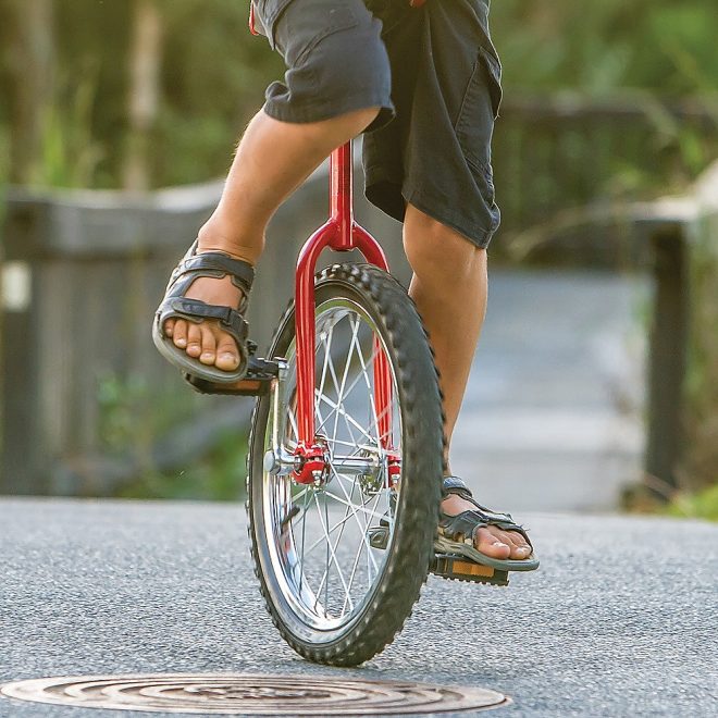 24” Pro Circus Unicycle Bike