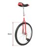 24” Pro Circus Unicycle Bike