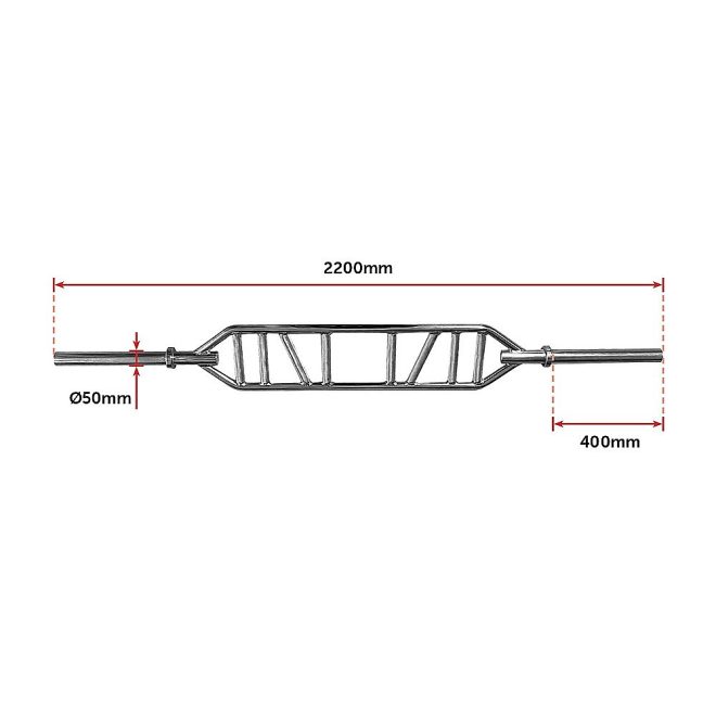 Olympic Swiss Bar Specialty Barbell