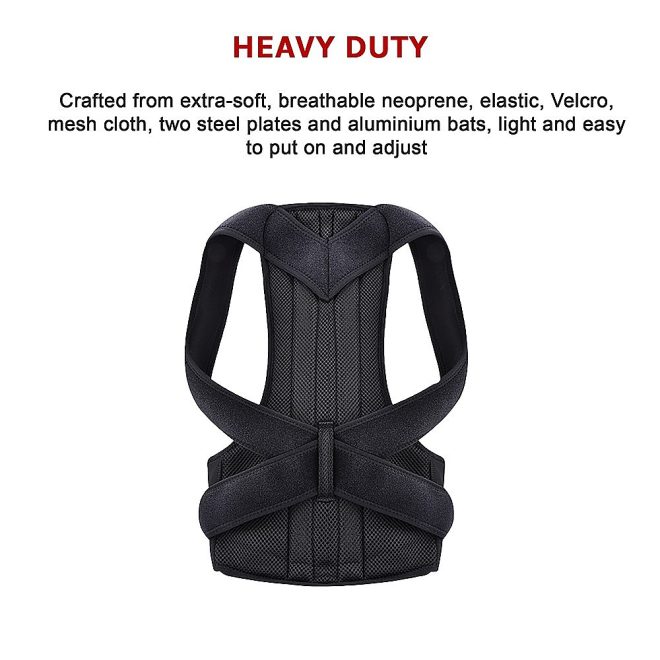 Lower Back Brace Unisex Posture Corrector Lumbar Support – Large