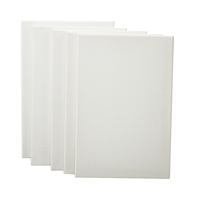 5 pack Artist Blank Stretched Canvas Canvases Art Large White Range Oil Acrylic Wood – 20 x 30 cm