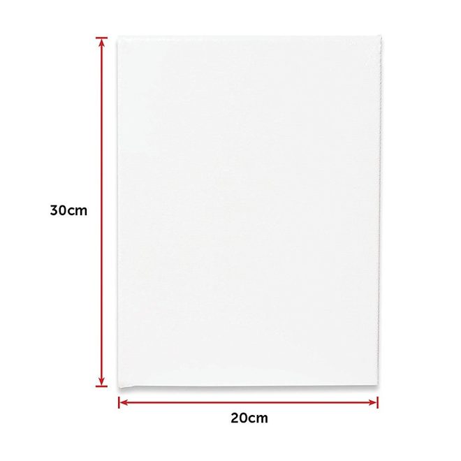 5 pack Artist Blank Stretched Canvas Canvases Art Large White Range Oil Acrylic Wood – 20 x 30 cm