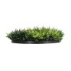 Slimline Artificial Green Wall Disc Art 90cm Green Field UV Resistant – Black