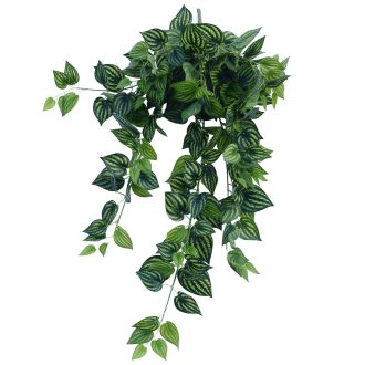 Bright Mixed Philodendron Garland Bush 100cm