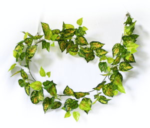 Mixed Yellow and Red Pothos Garland 190cm