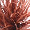 Artificial Ornamental Potted Dense Grass 38cm – Burgundy