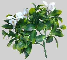 White Flowering Jasmine Stem UV Resistant 30cm