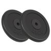 Weight Plates 2 pcs 2×20 kg Cast Iron