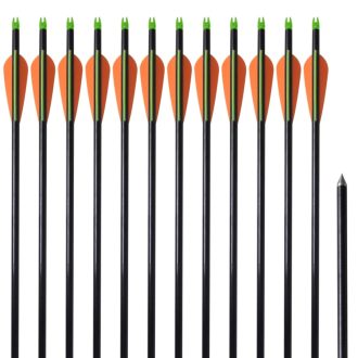 Standard Compound Bow Arrows 30″ Fiberglass 12 pcs