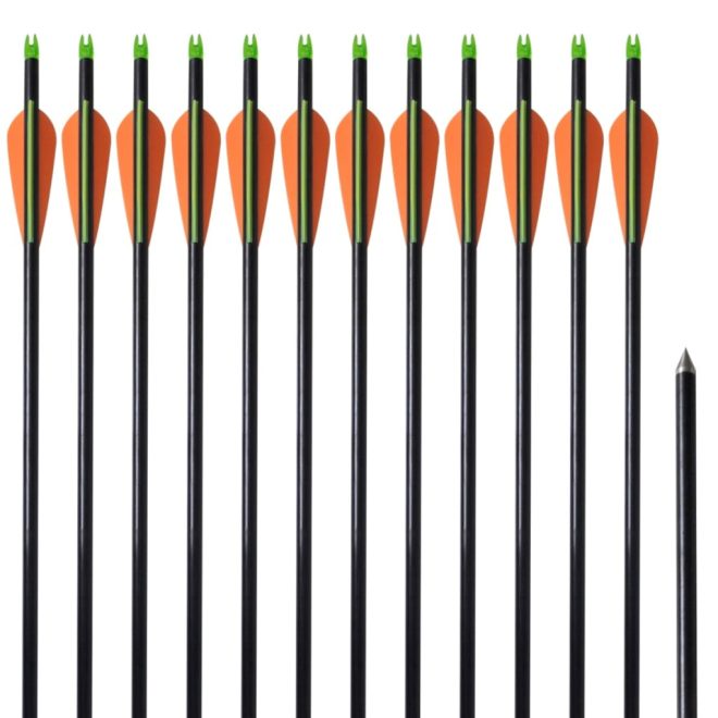 Standard Compound Bow Arrows 30″ Fiberglass 12 pcs – 0.8 cm