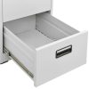 Filing Cabinet Light Grey 46x62x102.5 cm Steel