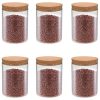 Storage Glass Jars with Cork Lid 6 pcs – 650 ml