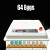 Incubator Fully Automatic Digital Thermostat Chicken Eggs Poultry – 64 Egg