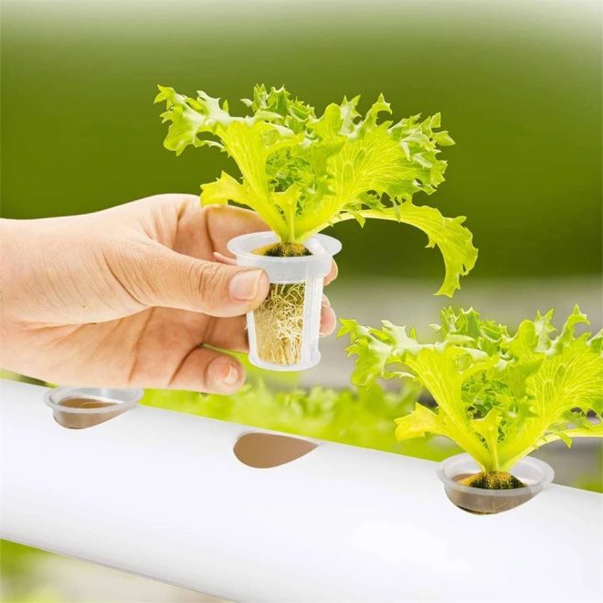 108 Plant Sites Hydroponic Grow Tool Kit Vegetable Garden Hydroponic Grow System With Wheels