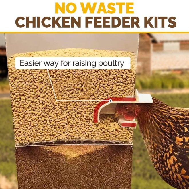 Chicken Feeder Poultry Feeder DIY Port PVC Gravity Fed Chicken Feeder – 6 Port