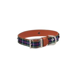 Highland Tartan Dog Collar