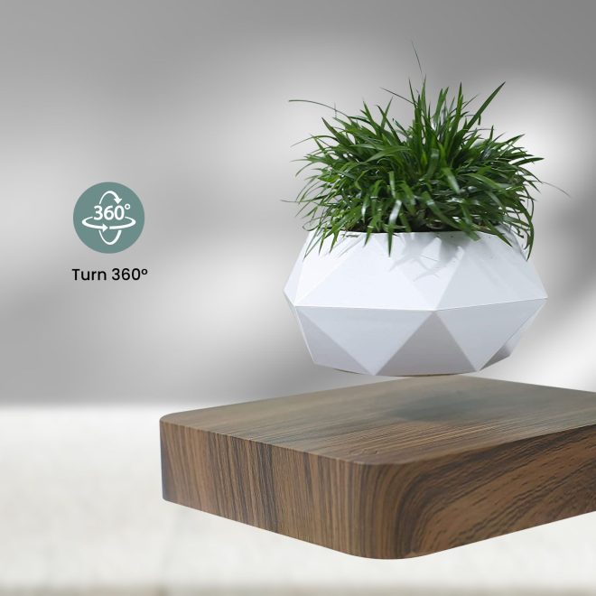 GOMINIMO Magnetic Levitating Plant Pot – Dark Brown