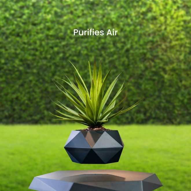 GOMINIMO Magnetic Levitating Plant Pot – Black