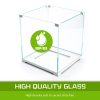 Dynamic Power Aquarium Fish Tank Starfire Glass – 16L