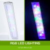 Dynamic Power Aquarium Fish Tank Curved Glass RGB LED – 30L