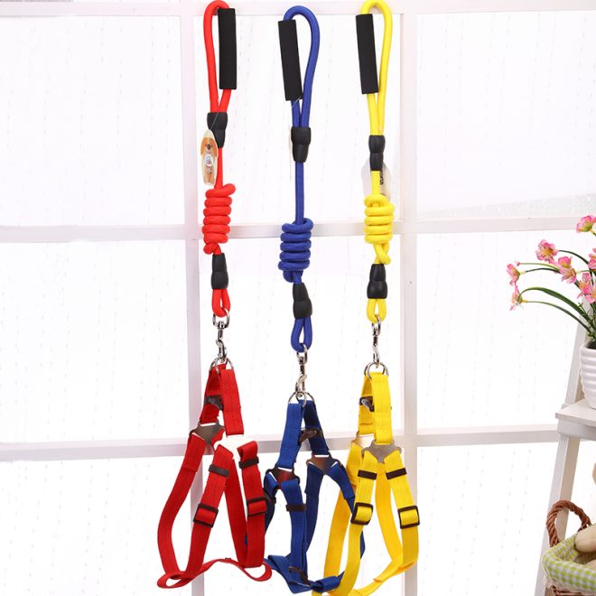 2 X Medium Pet Dog Puppy Dog Harness Collar leash lead