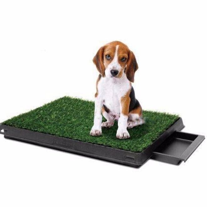 4 x Synthetic Grass replacement only for Potty Pad Training Pad 59 X 46 CM