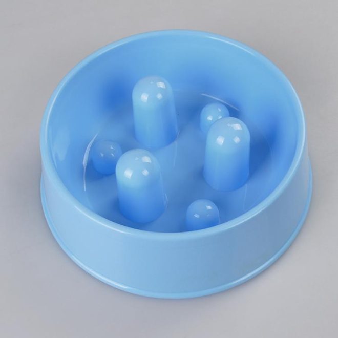 1 x XL Pet Anti Gulp Feeder Bowl Dog Cat Puppy slow food Interactive Dish – Blue