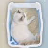 Large Deep Cat Kitty Litter Tray High Wall Pet Toilet Tray With Scoop – Blue