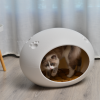 Medium Cave Cat Kitten Box Igloo Cat Bed House Dog Puppy House – White