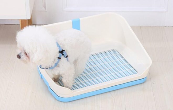 Medium Portable Dog Potty Training Tray Pet Puppy Toilet Trays Loo Pad Mat With Wall – Blue